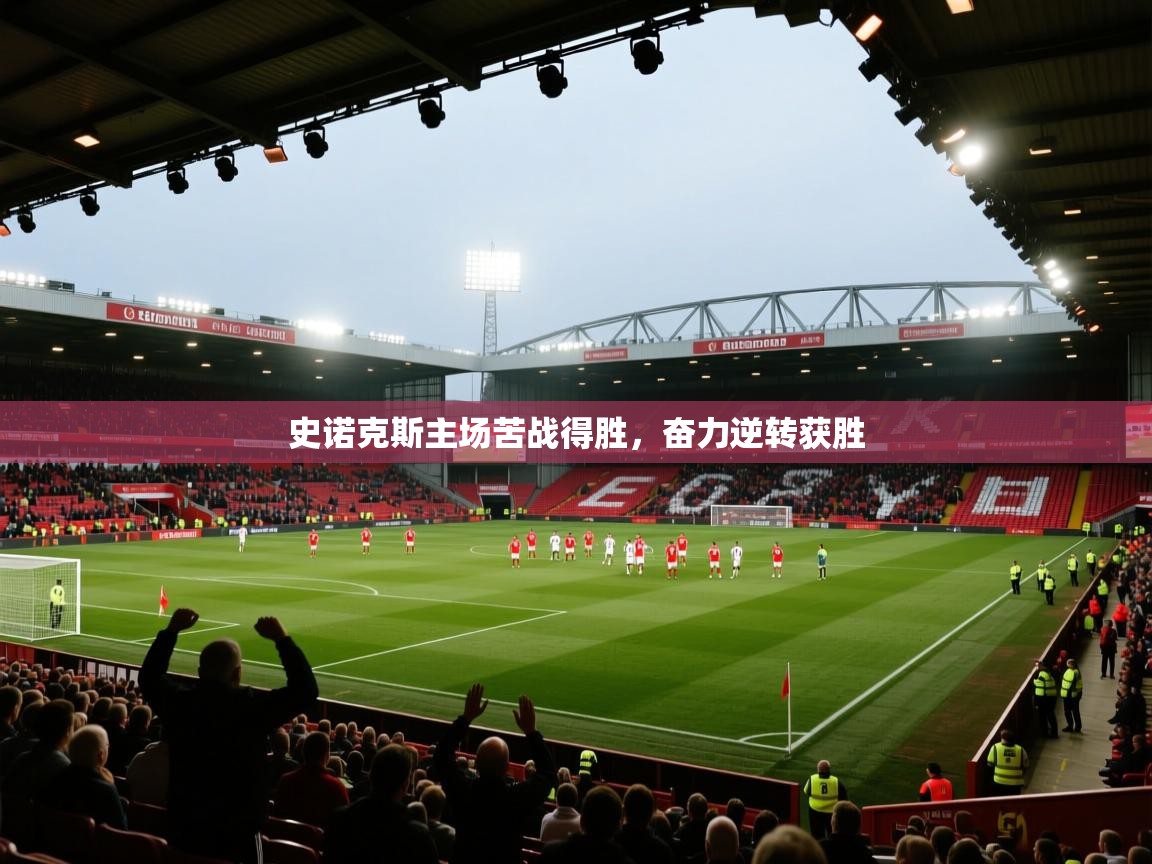 史诺克斯主场苦战得胜，奋力逆转获胜  第2张